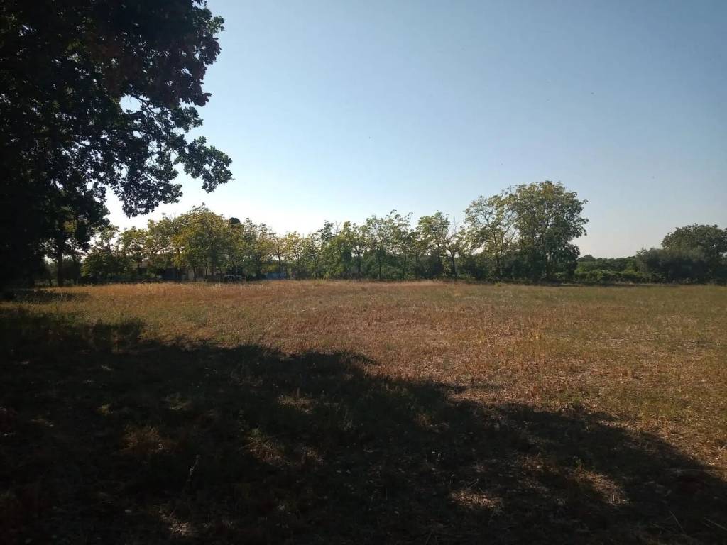 Rustico / casale a Ortona in Contrdada Fossato S.N.C. - Foto 3