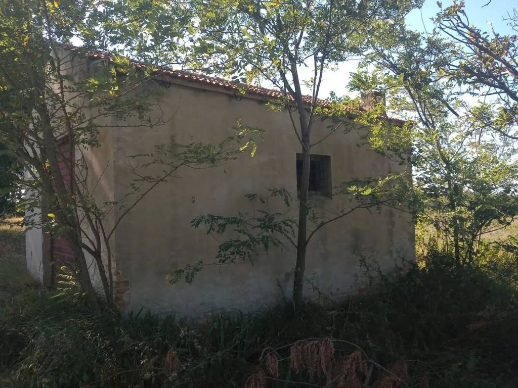 Rustico / casale a Ortona in Contrdada Fossato S.N.C. - Foto 4