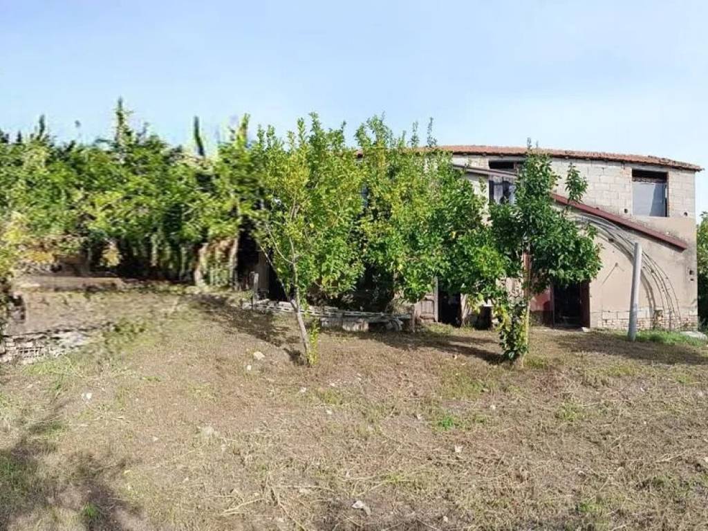 Rustico / casale a Tollo in Arietti S.N.C. - Foto 2