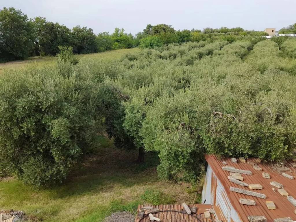 Villa a Ari in Via San Pietro, 54 - Foto 3