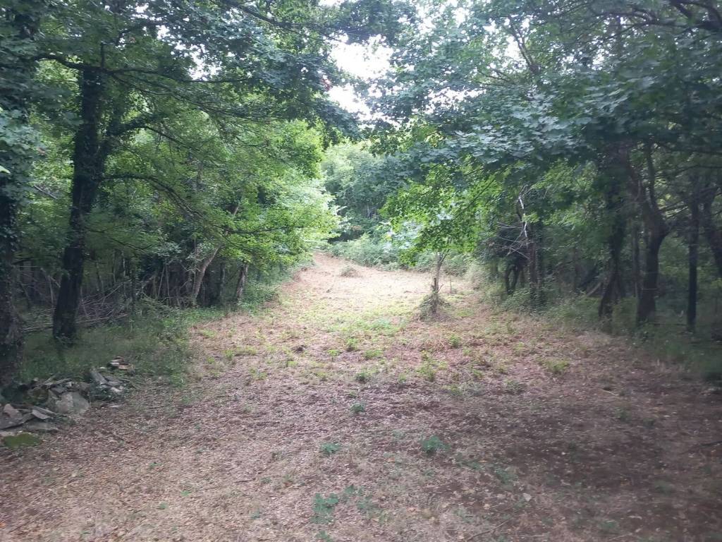 Rustico / casale a Pretoro in Pretoro S.N.C. - Foto 2