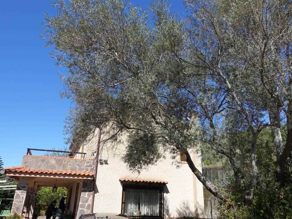 Villa a Rutino in SS18 - Foto 3