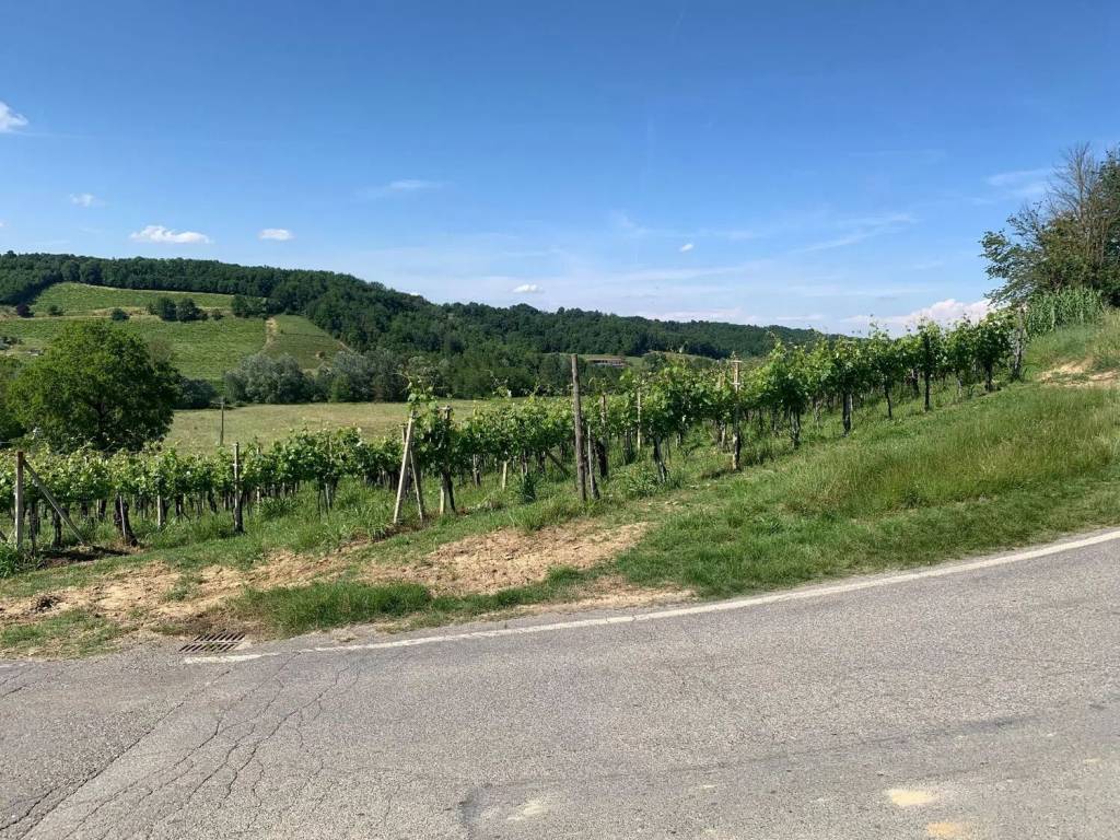 Terreno a Maranzana - Foto 2