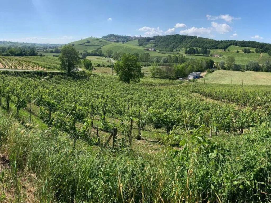 Terreno a Maranzana - Foto 4