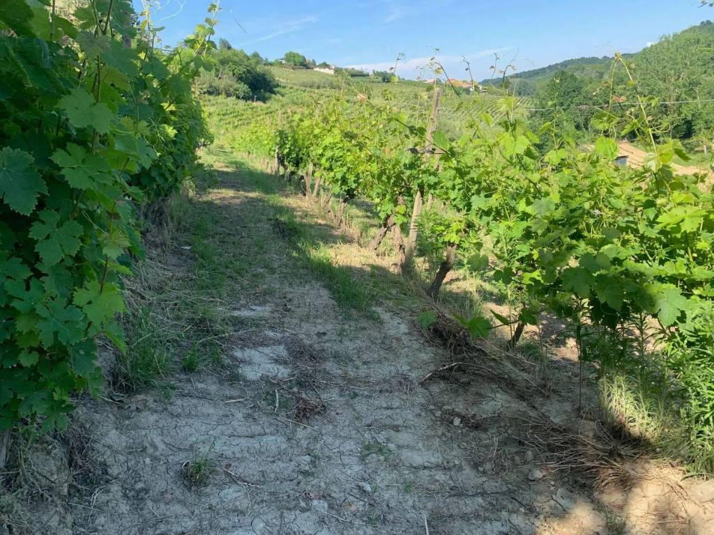 Terreno a Maranzana - Foto 5