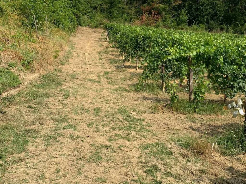 Terreno a Nizza monferrato - Foto 5