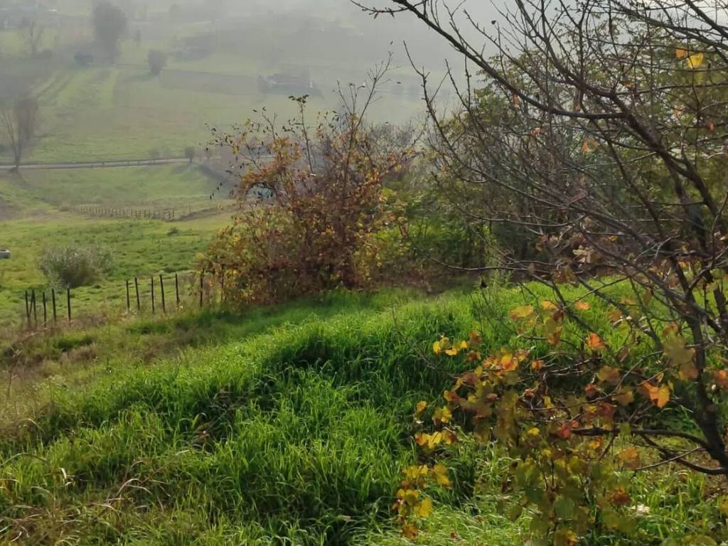 Terreno a San marzano oliveto in Regione Leiso, 21 - Foto 4