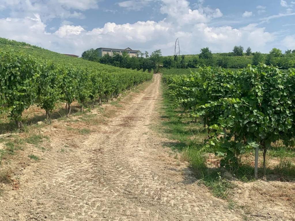 Terreno a Nizza monferrato in Strada Bricco No Number - Foto 5