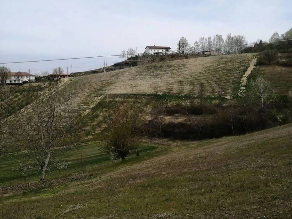 Terreno a Castelnuovo calcea in Via Cocito, 17 - Foto 3