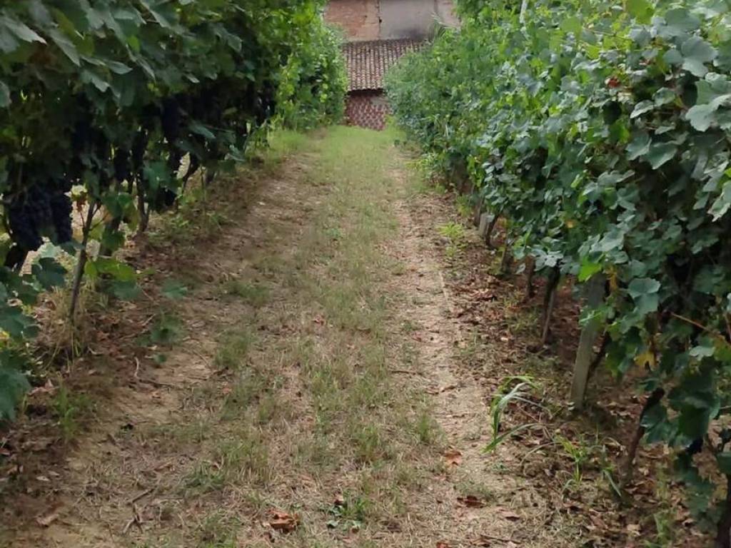 Terreno a Castelnuovo calcea in Via Valleggia, 12 - Foto 2