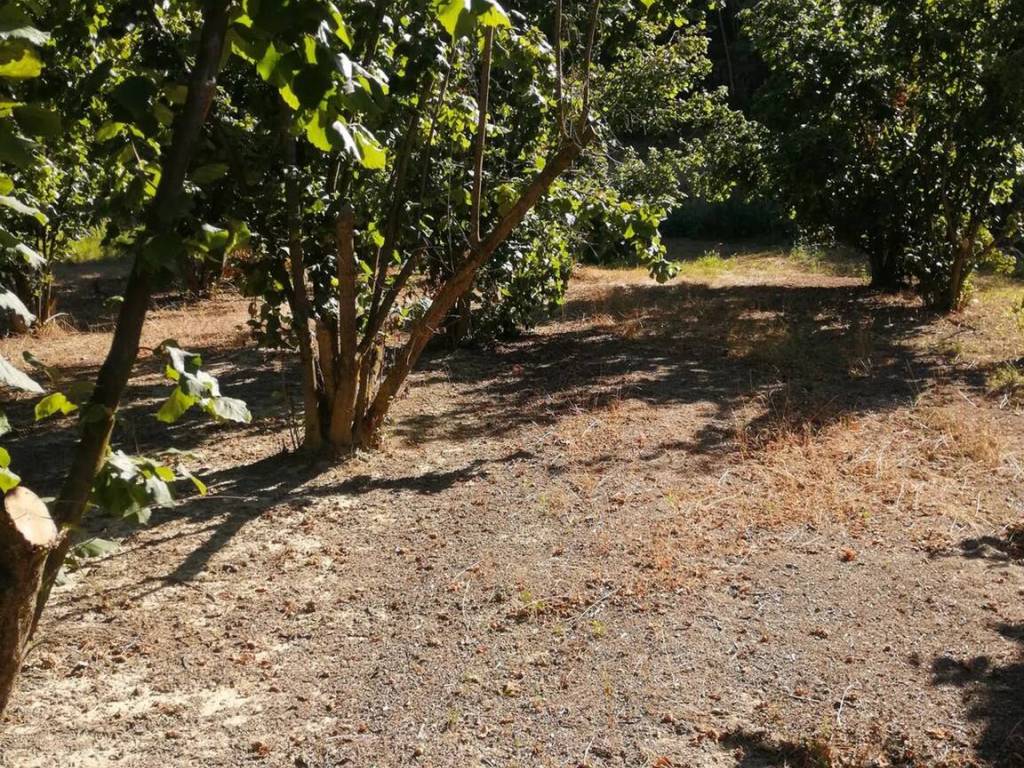 Terreno a Montegrosso d'asti in Via Basolo - Foto 2