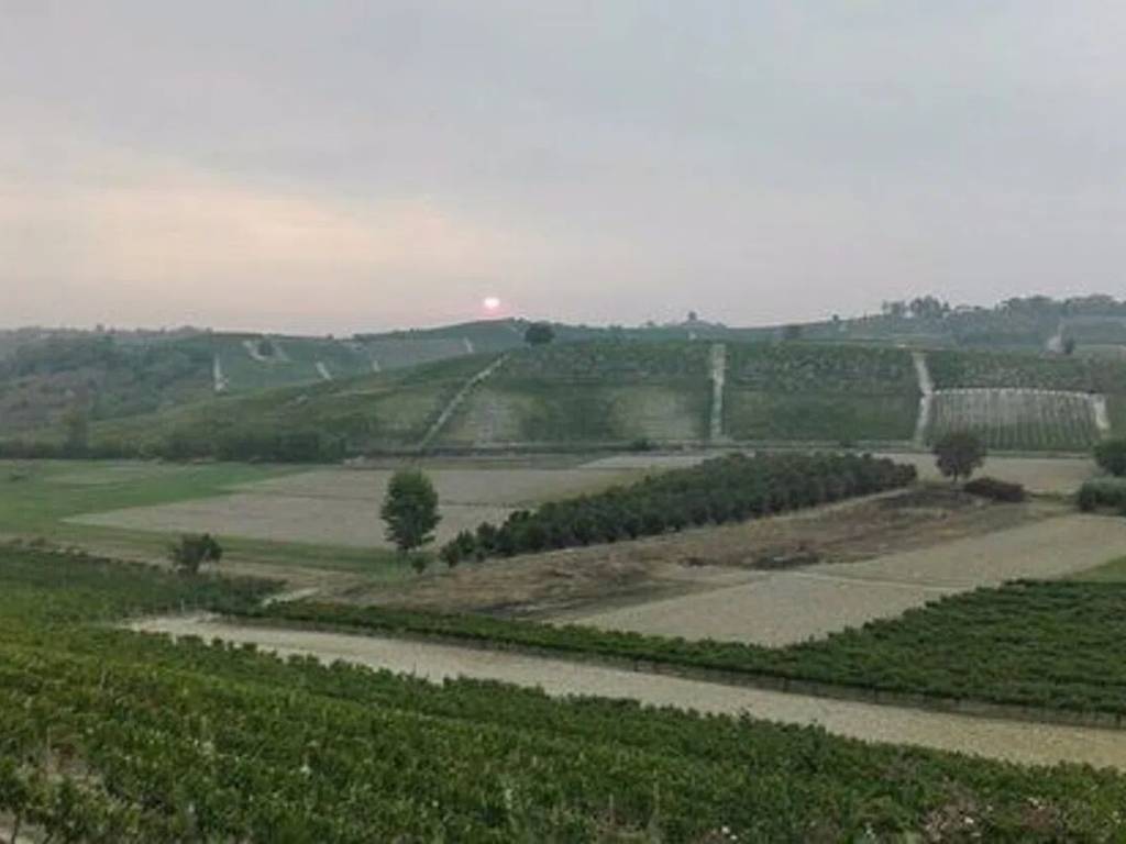 Terreno a Montegrosso d'asti in Via Nalbissano No Number - Foto 3