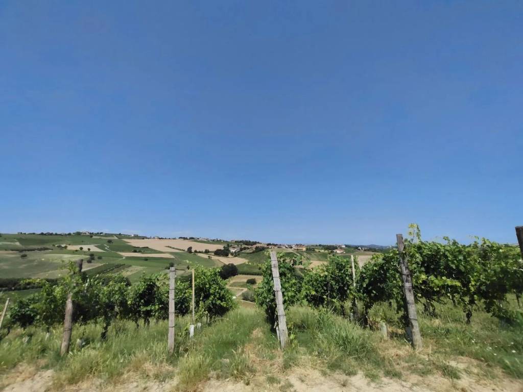 Rustico / casale a Montegrosso d'asti in Via Bricco Papa, 8 - Foto 3