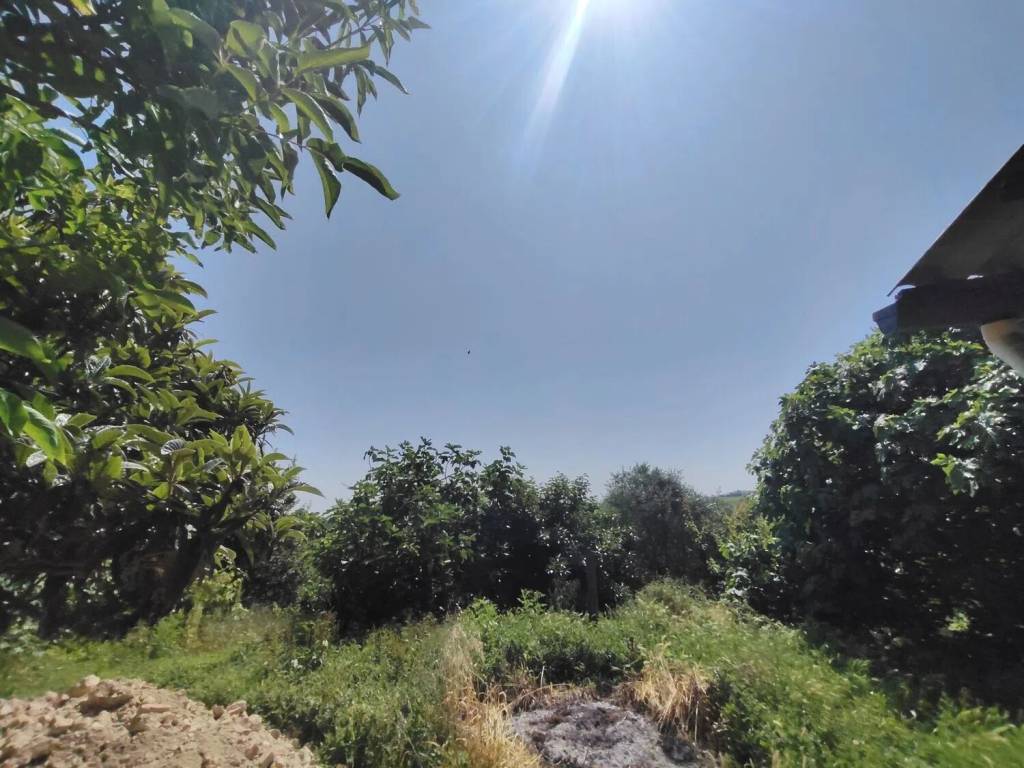 Rustico / casale a Montegrosso d'asti in Via Bricco Papa, 8 - Foto 5