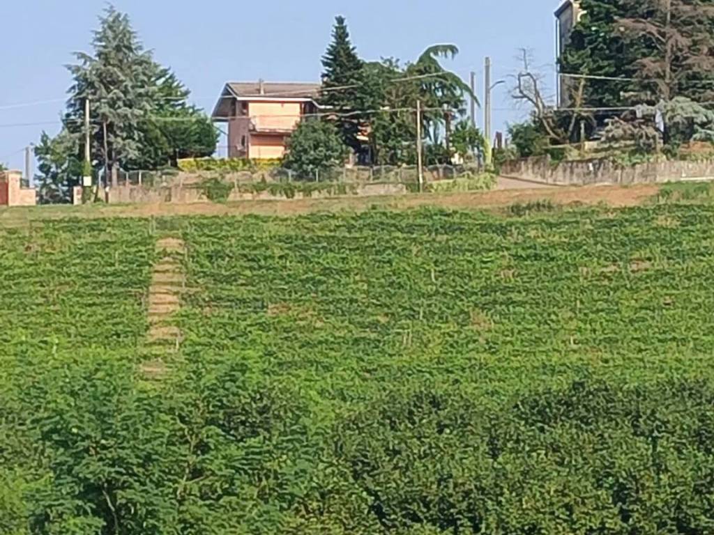 Villa a Agliano terme - Foto 5