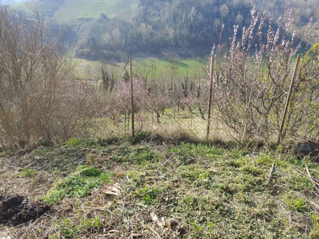 Rustico / casale a Mombercelli in Via Umberto I, 31 - Foto 4