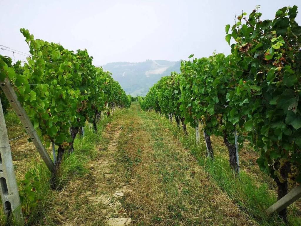 Rustico / casale a Nizza monferrato in Urb. Nizza Monferrato Nizza Monferrato - Foto 5