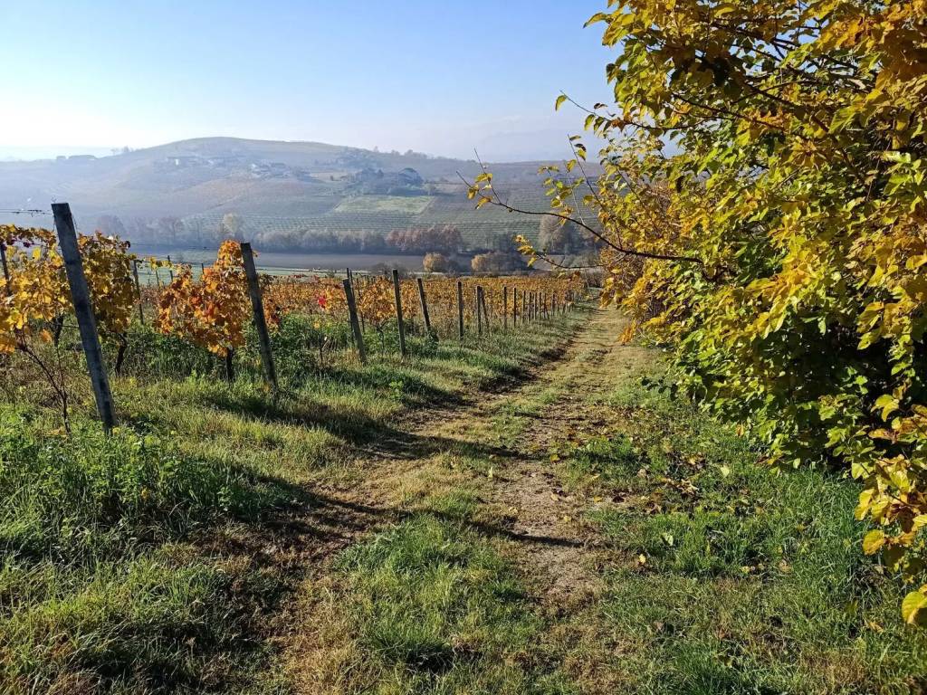 Rustico / casale a Costigliole d'asti in Sant'Anna No Number - Foto 3