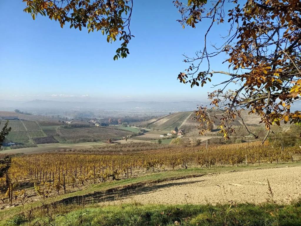 Rustico / casale a Costigliole d'asti in Sant'Anna No Number - Foto 4