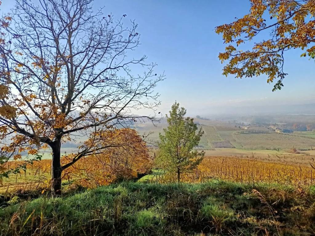 Rustico / casale a Costigliole d'asti in Sant'Anna No Number - Foto 5