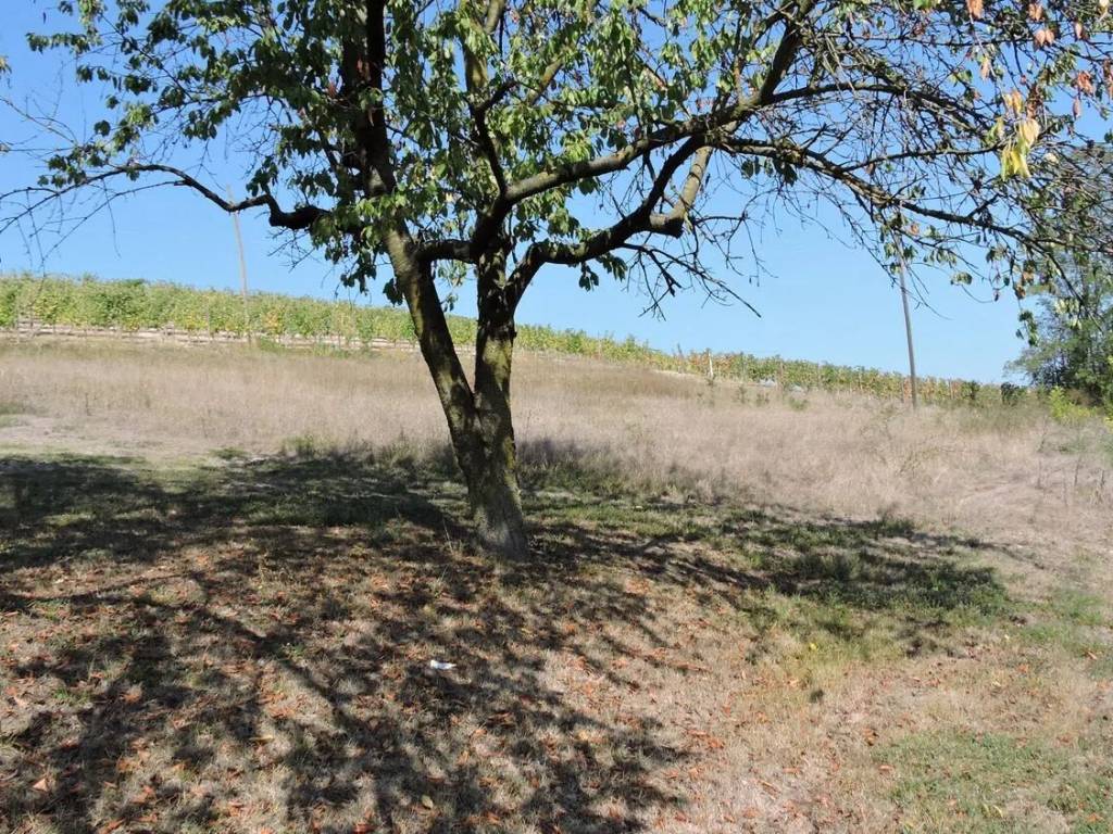 Rustico / casale a Calosso in Strada Val Calosso - Foto 3