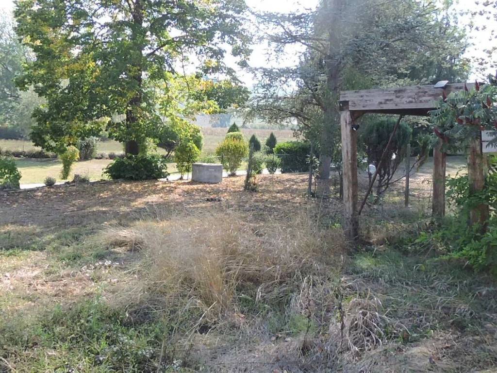 Rustico / casale a Calosso in Strada Val Calosso - Foto 5