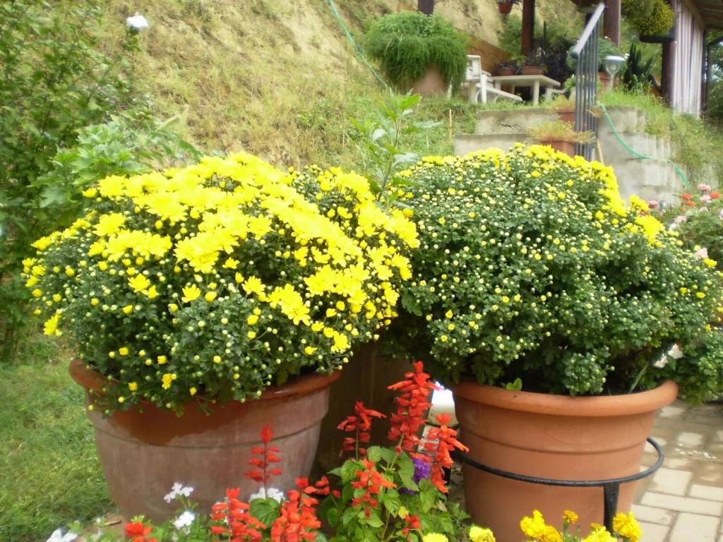 Rustico / casale a Castagnole monferrato in Frazione Valvinera, 22 - Foto 3