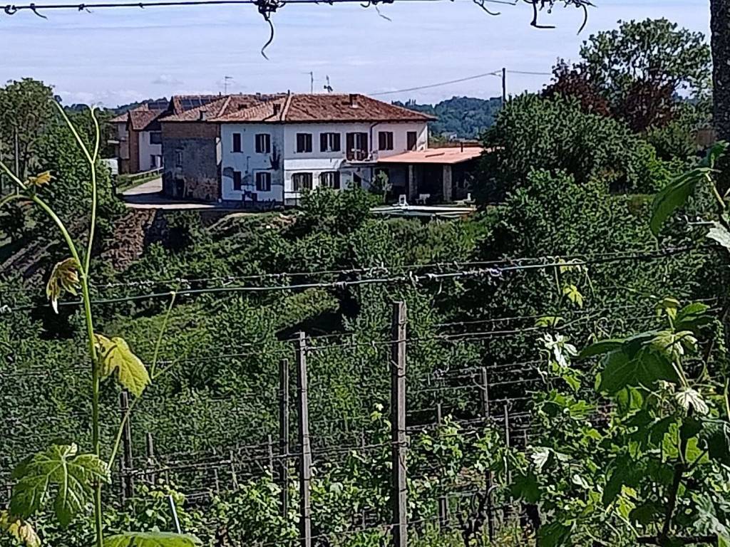 Rustico / casale a Montegrosso d'asti in Via Bricco Monti No Number - Foto 2