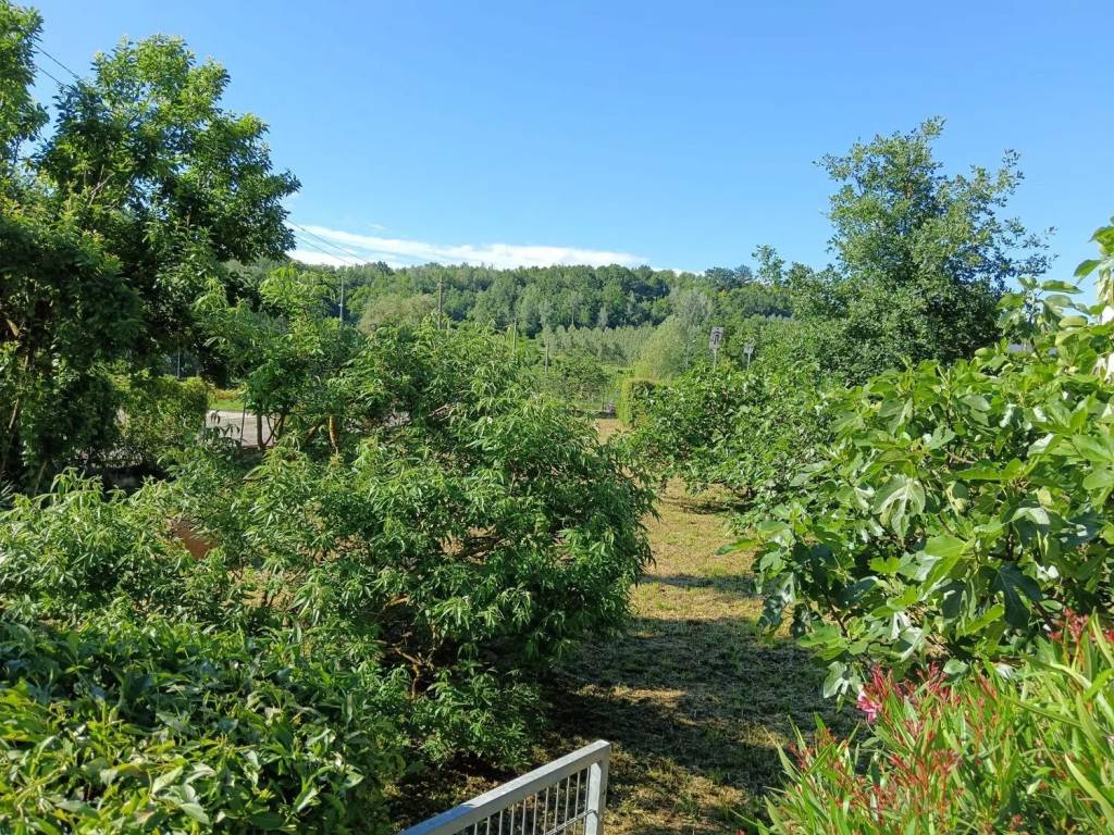 Villa a Belveglio in Via Garibaldi, 1 - Foto 4