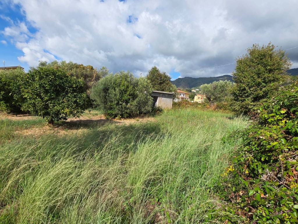 Terreno a Belvedere marittimo in Contrada Calabro - Foto 2