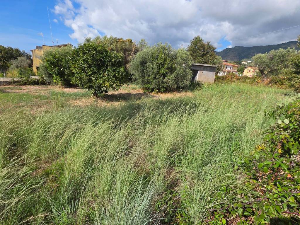 Terreno a Belvedere marittimo in Contrada Calabro - Foto 3