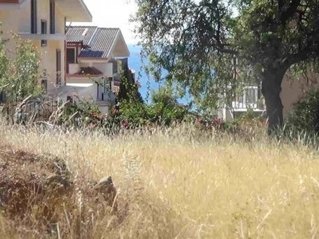 Terreno a Trebisacce - Foto 2