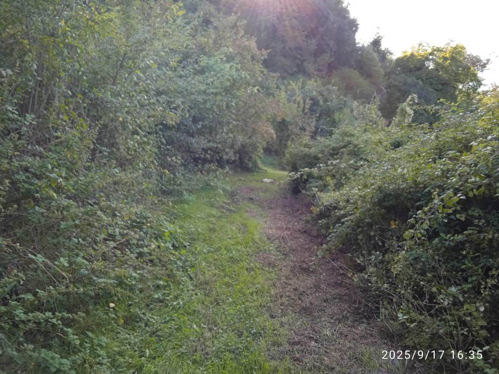 Terreno a Montelibretti in Via Rosce - Foto 2