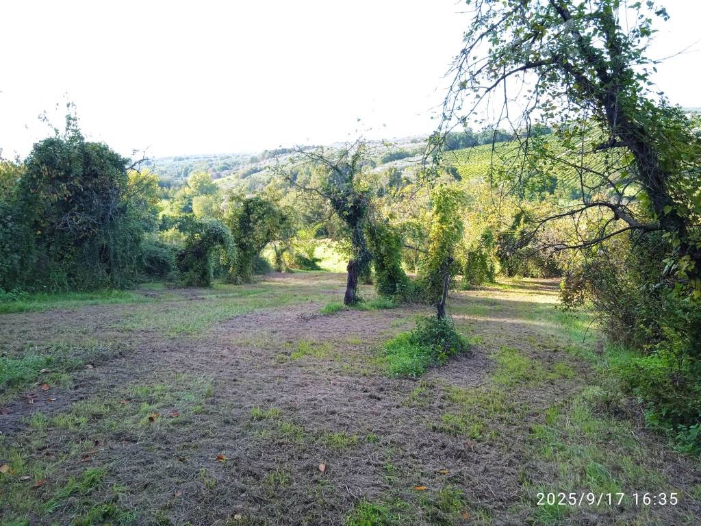 Terreno a Montelibretti in Via Rosce - Foto 3