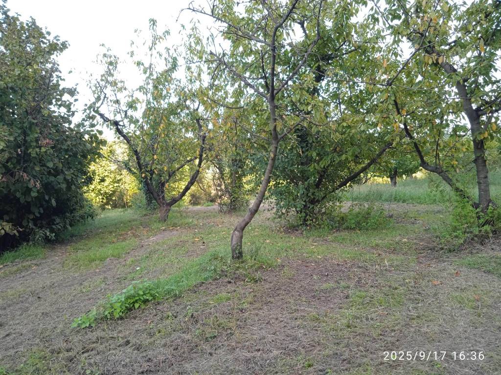 Terreno a Montelibretti in Via Rosce - Foto 4