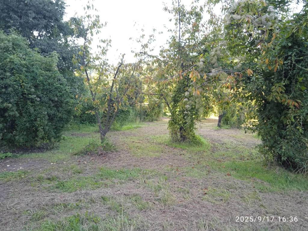 Terreno a Montelibretti in Via Rosce - Foto 5