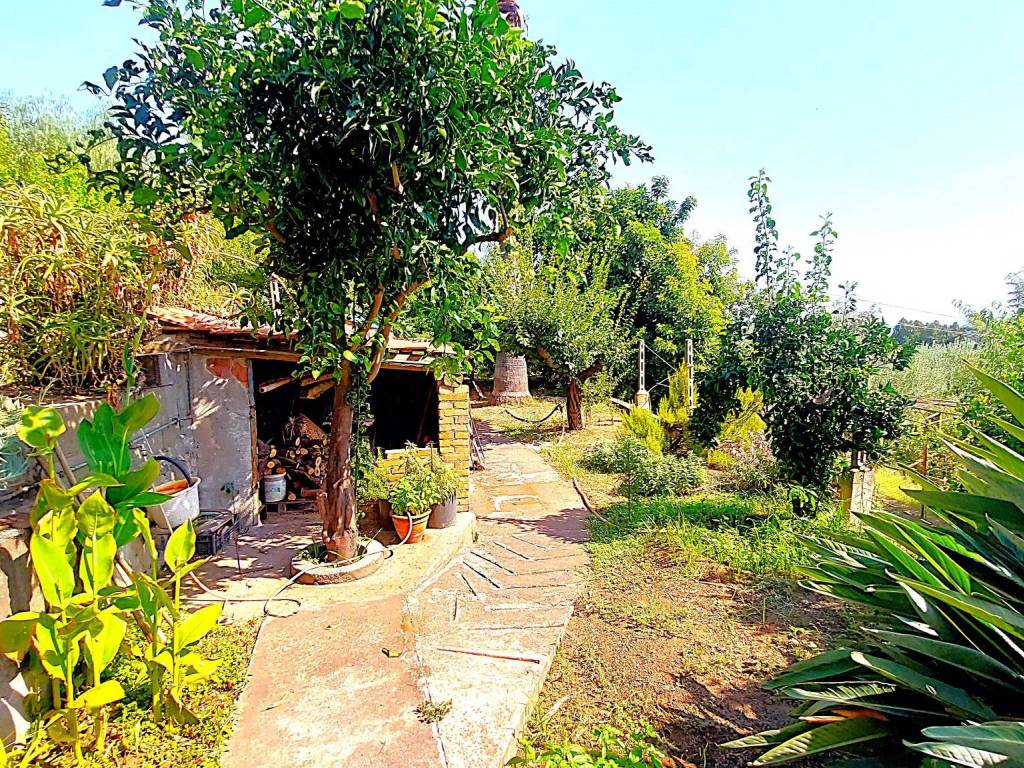 Villa a Giarre in Via Ruggero I, 156 - Foto 4