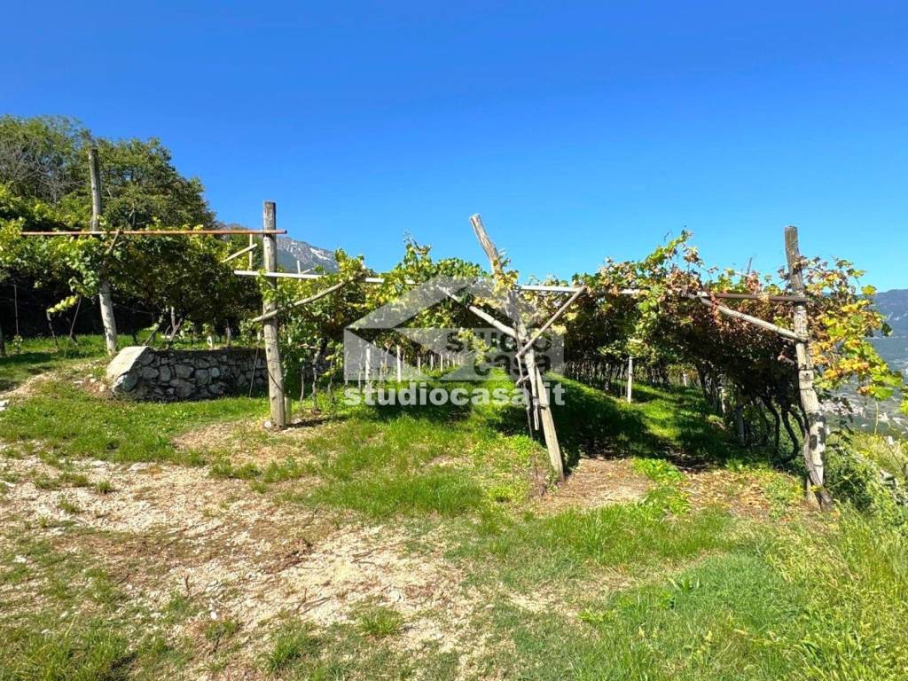 Terreno a Isera - Foto 2