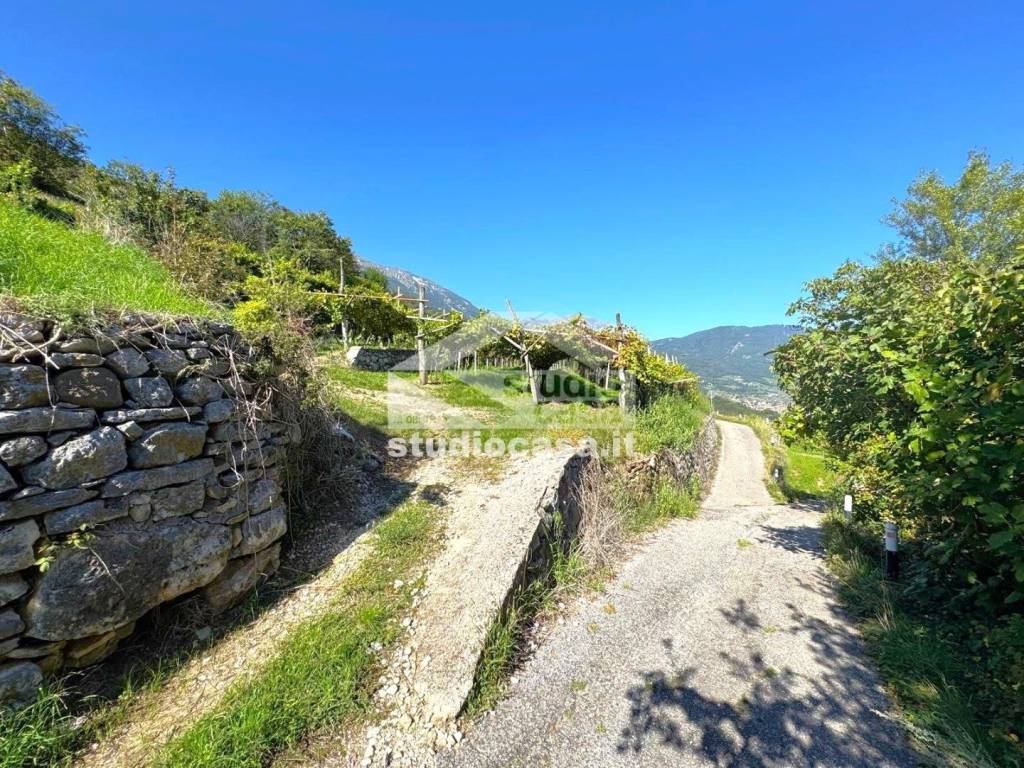 Terreno a Isera - Foto 3