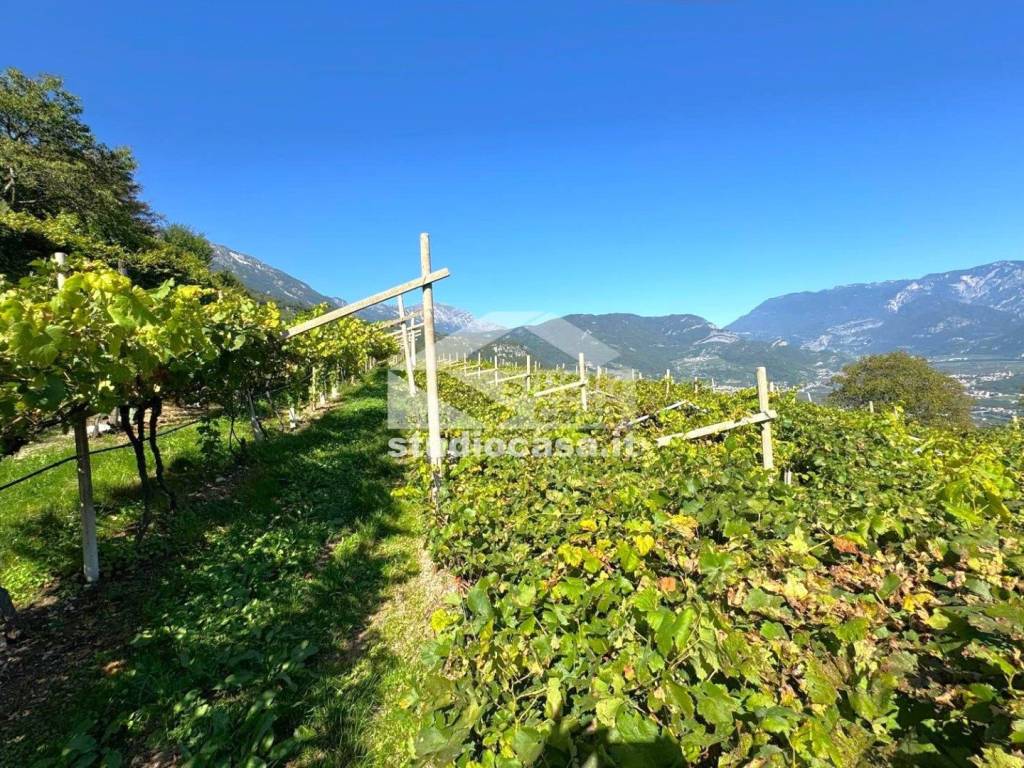 Terreno a Isera - Foto 4