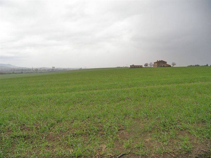 Terreno a Castiglione del lago - Foto 2
