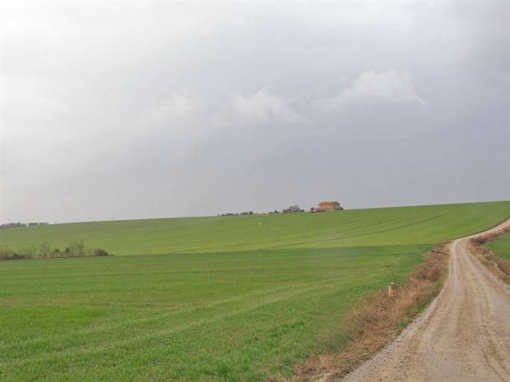 Terreno a Castiglione del lago - Foto 3