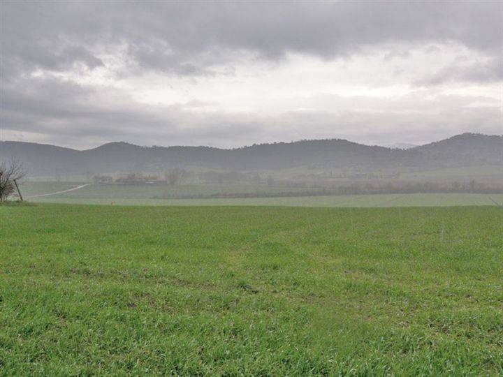 Terreno a Castiglione del lago - Foto 5