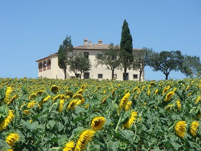 Rustico / casale a Cortona - Foto 4