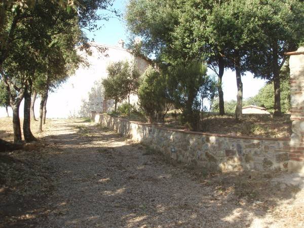 Rustico / casale a Massa marittima - Foto 2