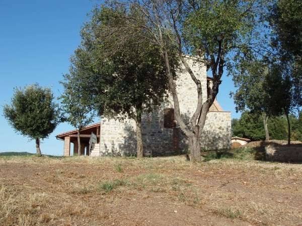 Rustico / casale a Massa marittima - Foto 3