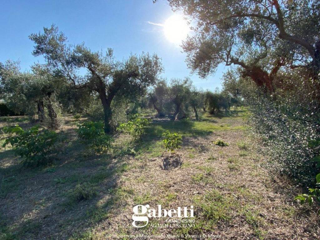 Terreno a Treglio in contrada San Giorgio, 139 - Foto 2