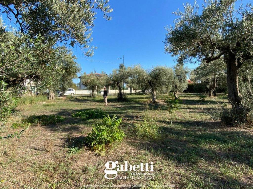 Terreno a Treglio in contrada San Giorgio, 139 - Foto 3