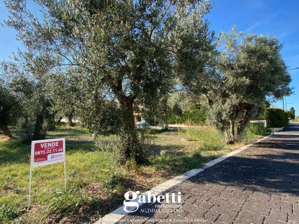 Terreno a Treglio in contrada San Giorgio, 139 - Foto 4