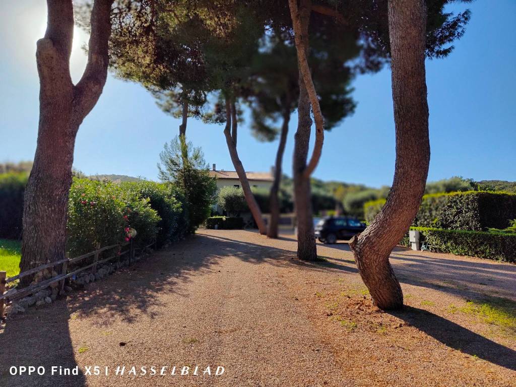 Appartamento a Orbetello in Strada Comunale di Ansedonia - Foto 2